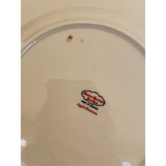 Theodore Haviland New York bread and butter plates. Apple Blossom pattern set of - Picture 2 of 5